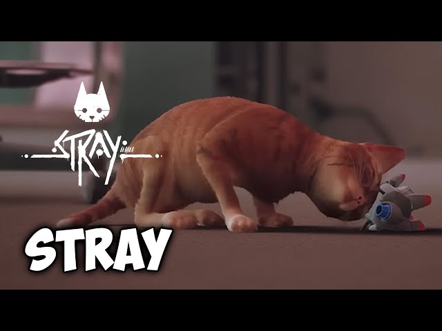 Stray ending explained, what happens to the cat, B-12, city & Zurks?