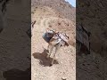 پہاڑو پر فوجی زندگی