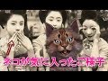 （´・ω・｀）ネコと見る「100年前の日本の写真が凄過ぎる件」