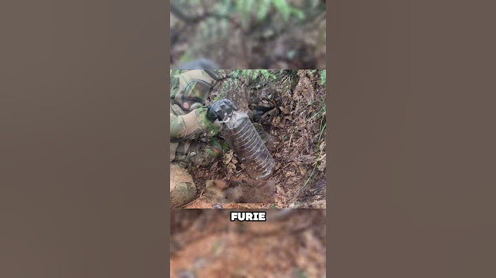 They trapped a giant hornet… and followed it to its queen 🐝😱
