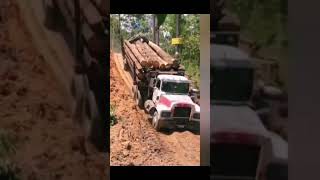 "Los Troqueros de la Sierra" Disponible en plataformas digitales link en el primer comentario