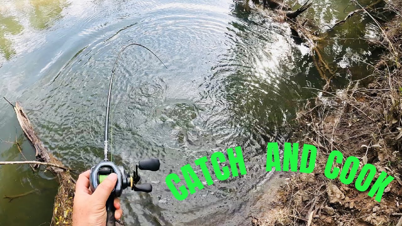 Catch and Cook of Freshwater Golden Perch