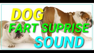 Fart Dog Surprise Loop Puppy Meme Gif Sound Effect