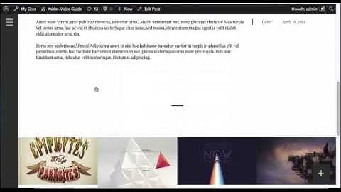 Aside wordpress theme video guide - portfolio post