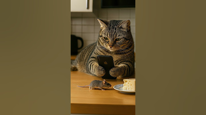 Please don't disturb me from looking at my phone, okay?!📱携帯を見るのを邪魔しないでくださいね？ #cat #trap #shorts