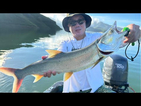 Related Embedded Video Item Thumbnail