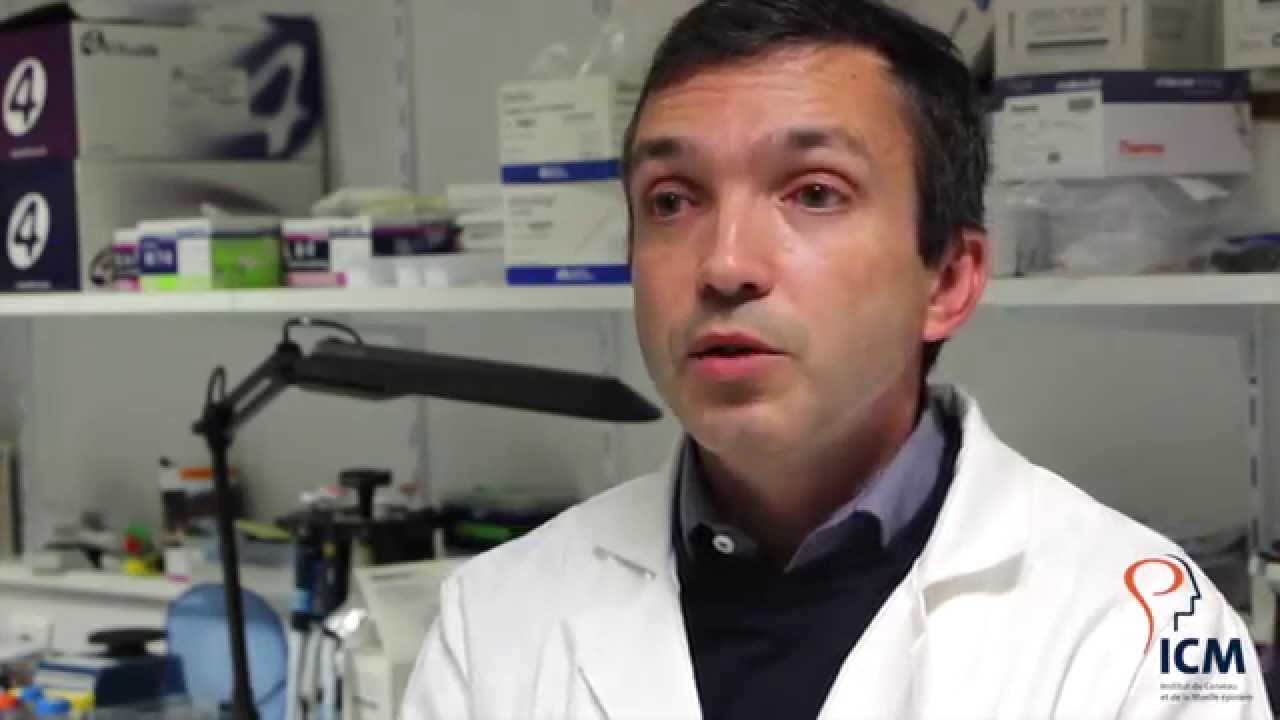 Journée internationale de sensibilisation à l’ataxie