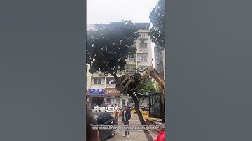 🪓 Tree Cutting Goes High-Tech! | Robotic Arm Makes Logging Effortless