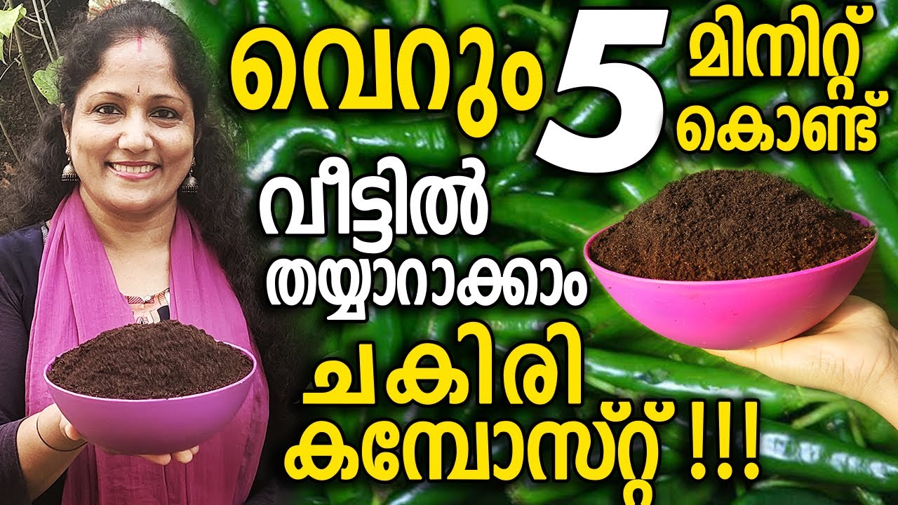 വെറും 5 മിനിറ്റ് കൊണ്ട് വീട്ടിൽ തയ്യാറാക്കാം ചകിരി കമ്പോസ്റ്റ്!!! | EASY QUICK Chakiri Choru Compost