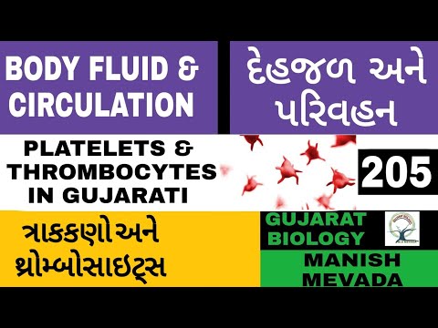 PLATELETS & THROMBOCYTES IN GUJARATI || ત્રાકકણો અને થ્રોમ્બોસાઇટ્સ