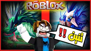 روبلوكس اقوى ماب تنانين مع بومبو ( تربية التنين ) Roblox 🤯🐉