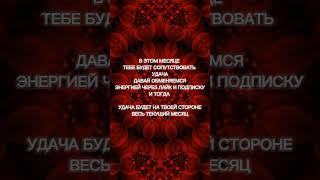 ПРОГРАММИРОВАНИЕ НА УДАЧУ