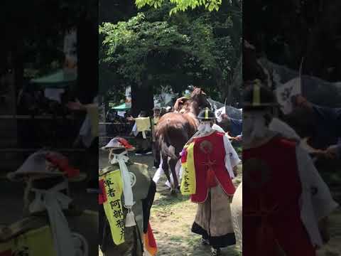 「相馬野馬追」本祭り…