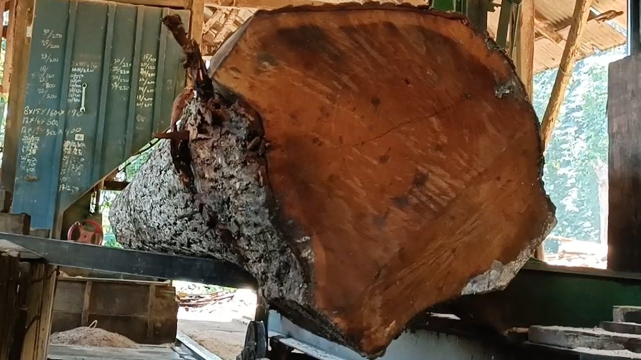 Extreme Wood Cutting at the Sawmill || The Amazing Process of Sawing a ...