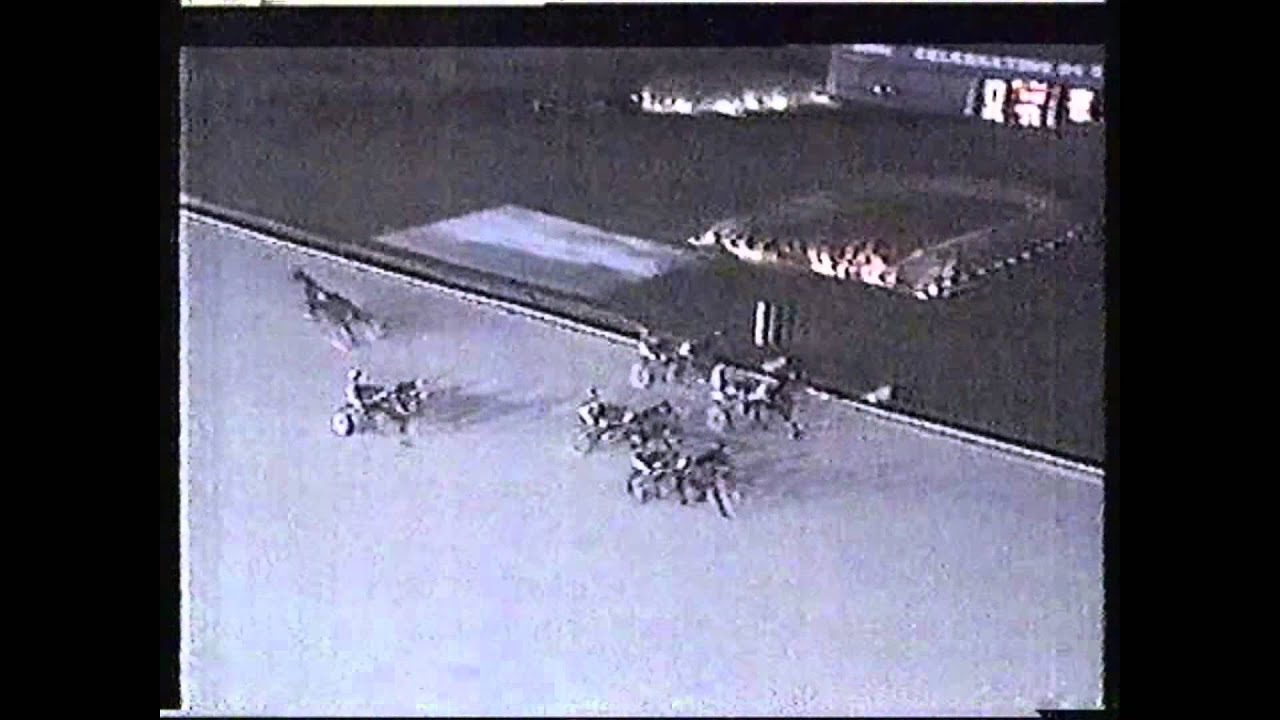 Amazing Harness Racing (Trotting) accident 1989 YouTube