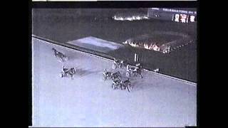 Amazing Harness Racing (Trotting) accident 1989