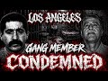 AMERICAN KILLERS..HE WAS KNOWN TO HUNT HARPYS MEMBERS…BUT HE TOOK OUT INNOCENT PEOPLE INSTEAD 😳