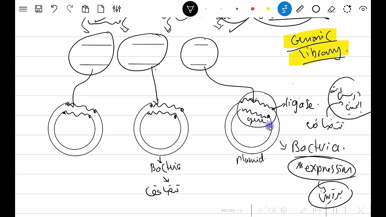 Practical question  1