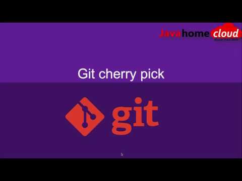   What Is Cherry Pick In Git Git CherryPick Demo Cherry Picking A Commit Java Home