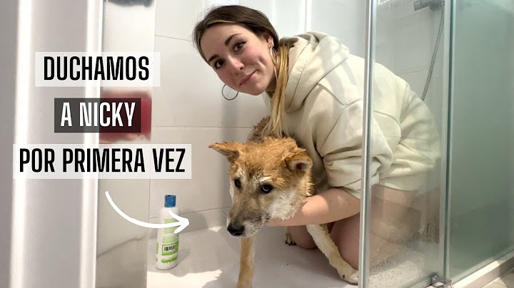 La primera ducha de Nicky🐶🚿 se pone rebelde
