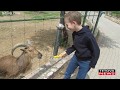 Kopshti Zoologjik i Shkupit u gjallërua nga nxënësit e SH.F. "Bratstvo-Migjeni" të Tetovës