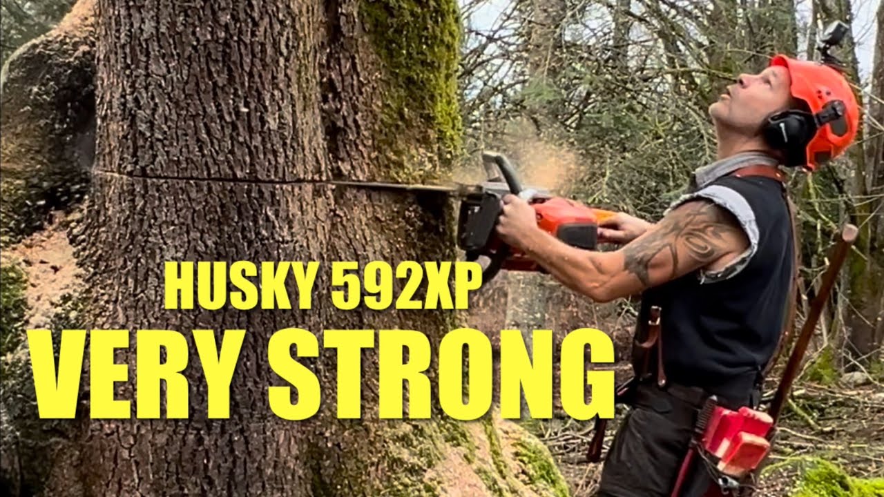 Husqvarna 592 xp, Heavy duty saw - YouTube