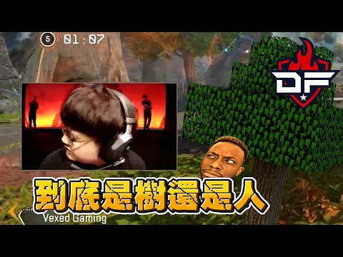 Apex ALGS 我就說了右邊沒人 到底是樹還是人【剪輯練習】