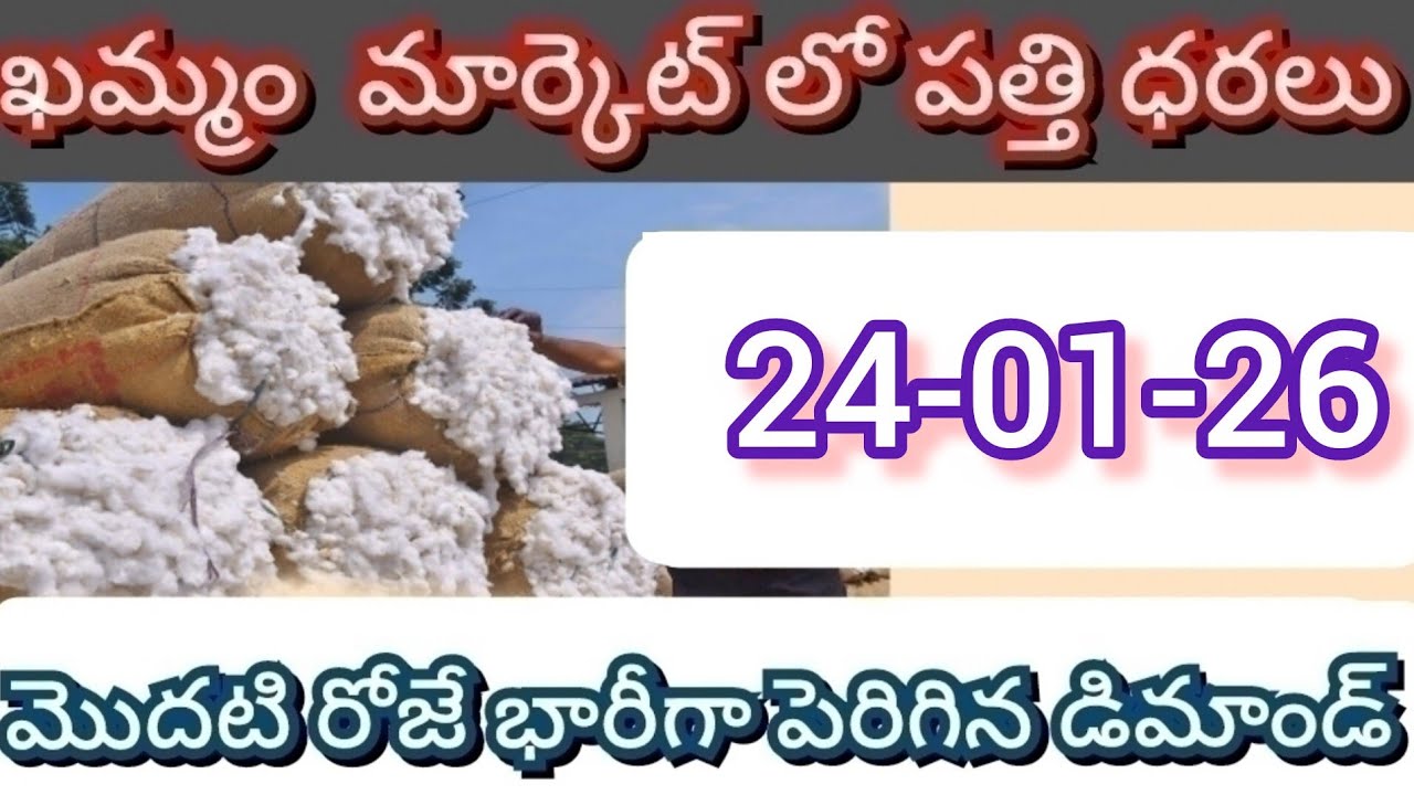24-01-2026 అధోని వరంగల్ ఖమ్మం పత్తి ధరలు Khammam Warangal cotton prices 