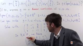 Famous Ch6Pr28: Linear Combinations and Spans of Vectors Wealth