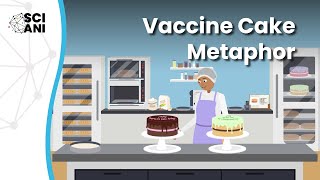 Are vaccines that are developed quickly safe? A cake metaphor