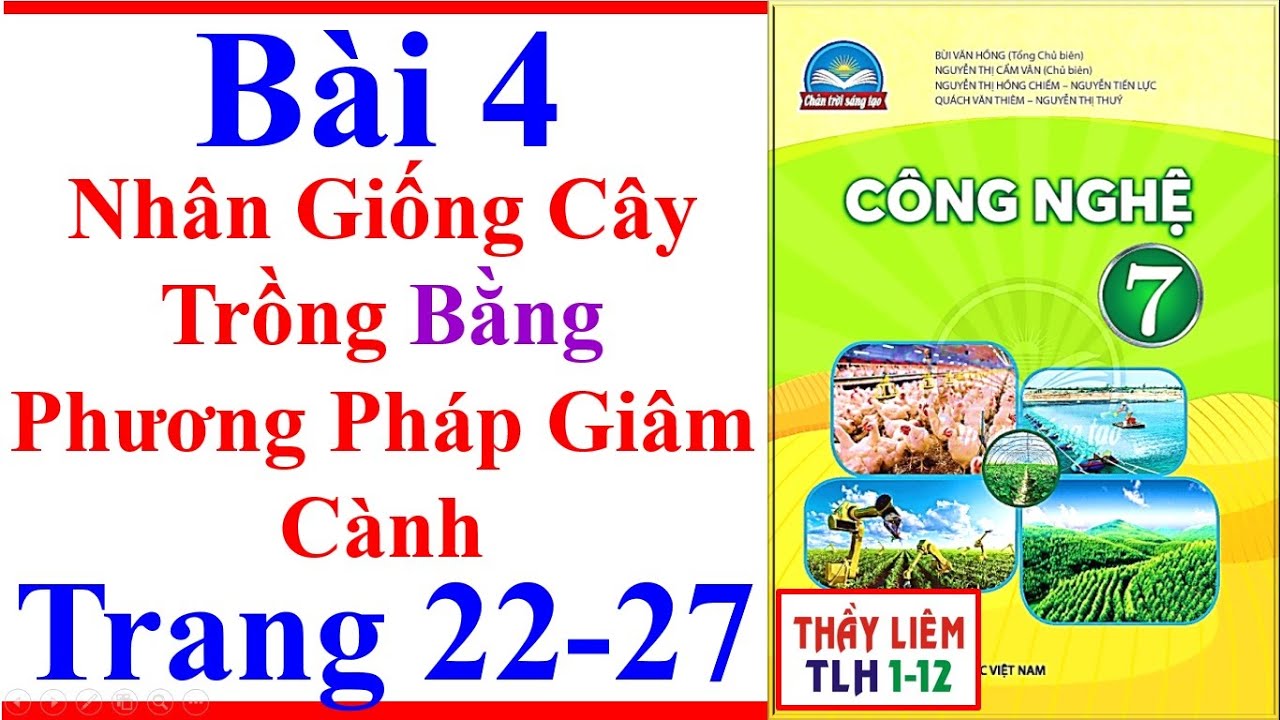 Công Nghệ 7 Bài 4 | Nhân Giống Cây Trồng Bằng Phương Pháp Giâm Cành Trang 22 – 27 Chân Trời Sáng Tạo