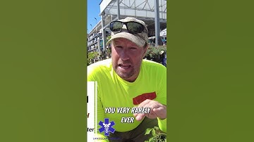 90% Of People Prune Clematis Wrong