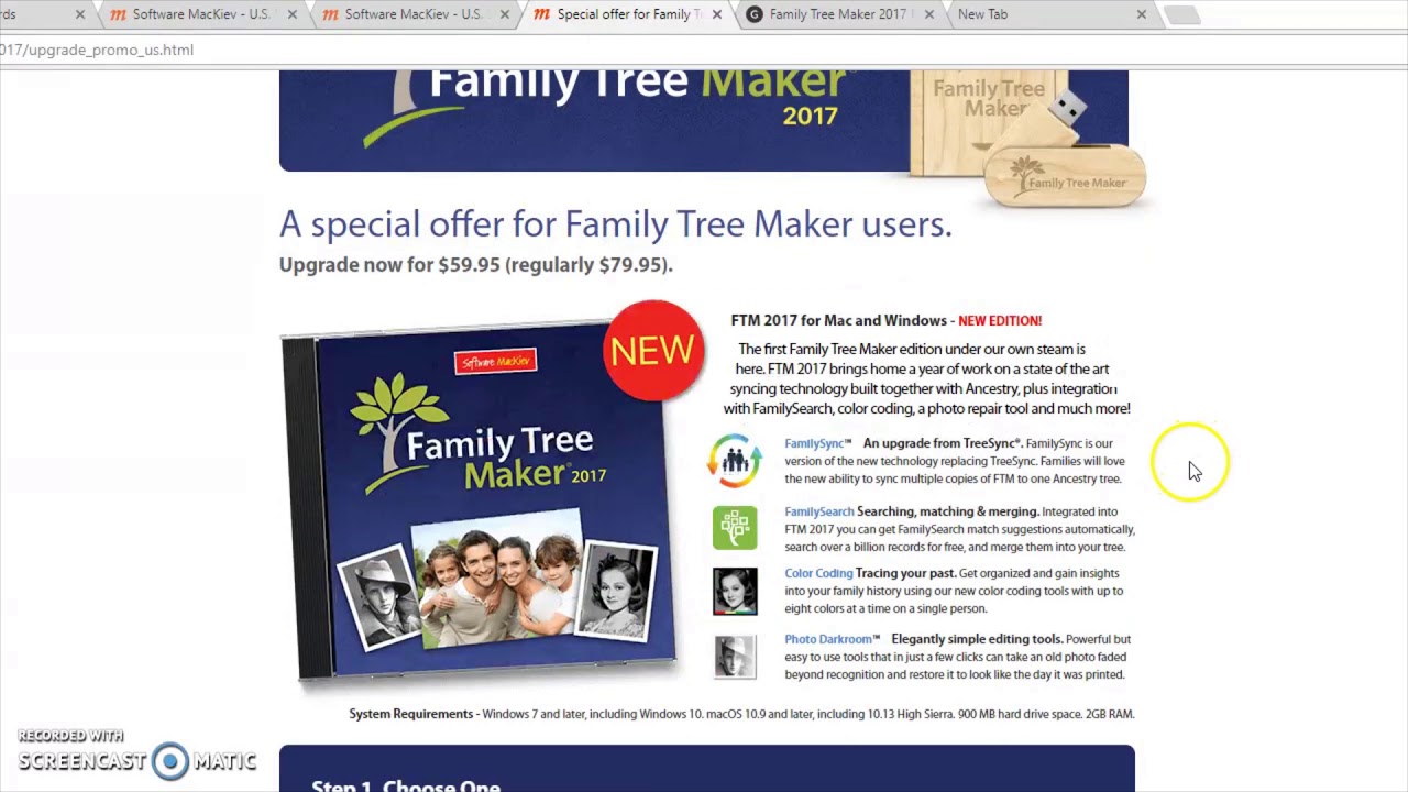 Best Family Tree Chart Maker