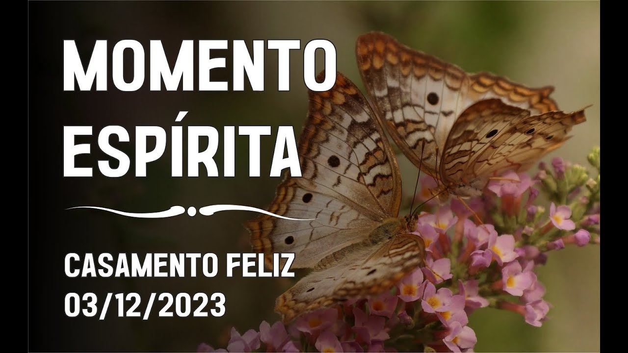 Momento Espírita - Casamento Feliz