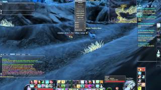 Aion - Epic fail black belt bot