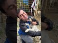 Alimentamos a 50 perritos de la calle GRACIAS A USTEDES