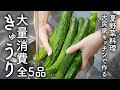 猛暑にはきゅうり大量消費!簡単レシピ5品夏野菜をおいしく食べる【無限きゅうり】