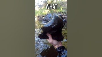 What is this Massive Bone!? 🦴 @FossilnJoe