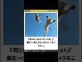 #ボケて 声に出して読んでみた！Part４７ #Shorts