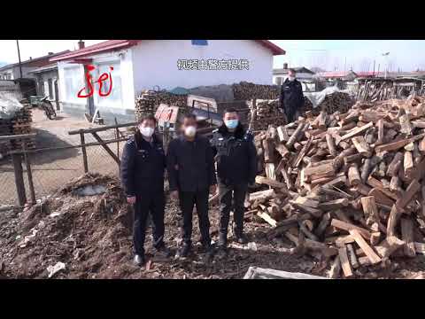 男子盗伐林木 随手堆在院里 被细心民警发现端倪