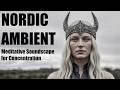 1 Hour Nordic Ambience | Meditative Soundscape for Concentration