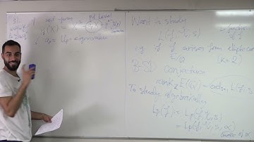 Ordinary and Non-ordinary conjectures in Iwasawa theory