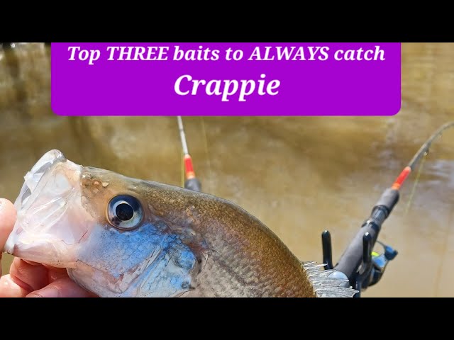 THREE Best Baits To Catch Crappie (Summer Crappie Fishing) 