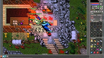 Tibia - Pythera Server - Killing Lvl 92 Royal Paladin Red Skull