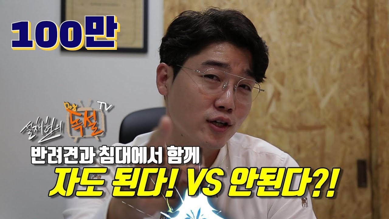'이런'행동하는 반려견과 절대 침대에서 같이 자면 NO!|설채현 구설수