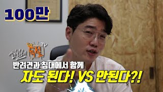 '이런'행동하는 반려견과 절대 침대에서 같이 자면 NO!|설채현 구설수