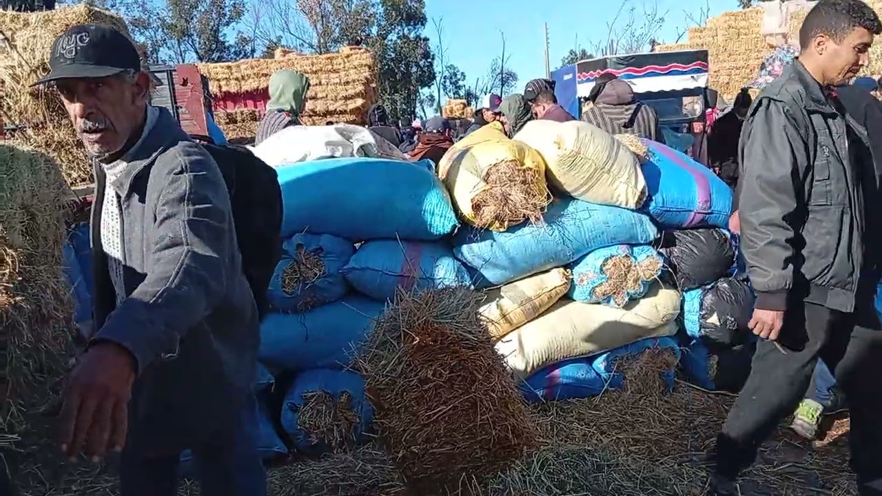 من رحبة التبن سوق حد السوالم إليكم الأثمنة 