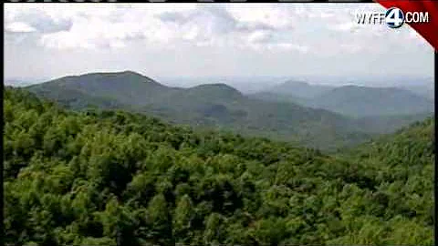 Wild Hogs Threaten SC Wilderness