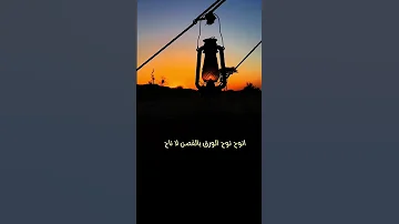 يلوح قلبي لوحة البرق لا لاح Love Beautiful Happy شيلات جزل القصيد شعر 