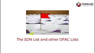 OFAC Sanctions Lists Explained: SDN vs Non‑SDN Lists